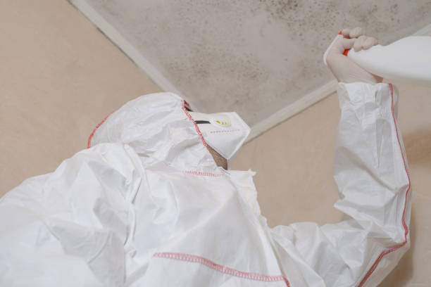 Best DIY Mold Remediation Support Services in Durant, MS